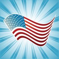 Vector American flag N3