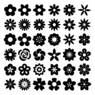Set of Flower icons N4
