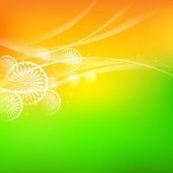India Background N20