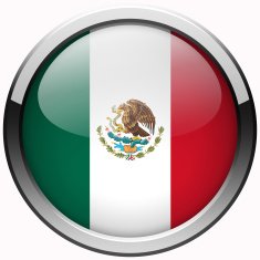 mexico flag gel metal button