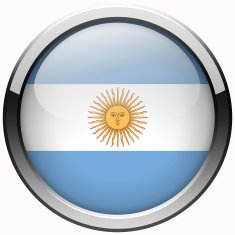 argentina flag gel metal button