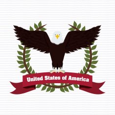 Usa Design N420