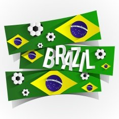 Brazilian flag N17