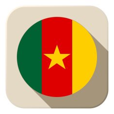 Cameroon Flag Button Icon Modern N2