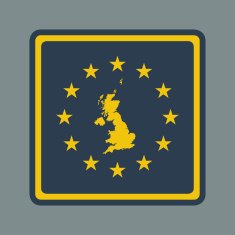 United Kingdom European Flag Button N2