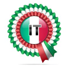 Vector national flag badge IT
