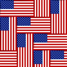 American seamless pattern N12
