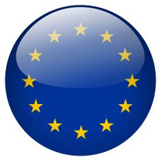 EU flag button N3
