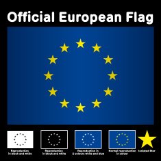 Official European Flag Gradient Vector N2