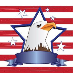 American Eagle-Independence day