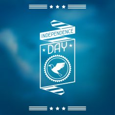 United States of America Independence Day greeting card N15