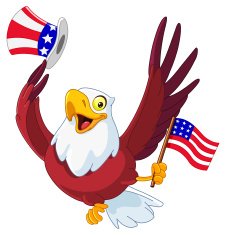American patriotic eagle N2