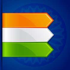 Tricolor Label Tag N2