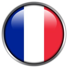 France Flag Glossy Button N5