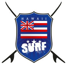 hawaii surf shield with flag