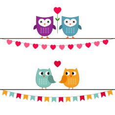 Owl love couples