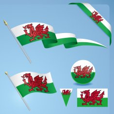 Welsh Flag N9