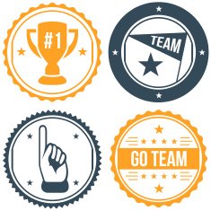 Sports Team Badges N2