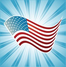 Vector American flag N3