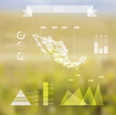 Abstract Mexico Map with Infographic Elements on Blurred Backgro