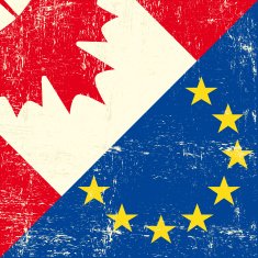 Canadian and european grunge Flag