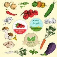 vegetables and labels