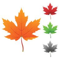 realistic colorful maple leaves
