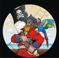 Pirate With Parrot N6