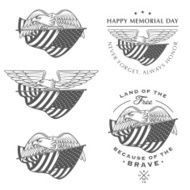Falcon (eagle) flying with American flag N2