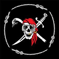 pirat diver skull flag