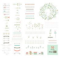 Floral decor set Different vector brushes and elements Isolated N3