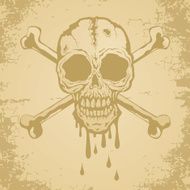 skull and crossbones N26