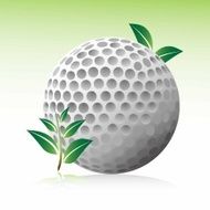 Golf Ball N14