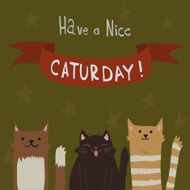 Caturday Saturday Postcard