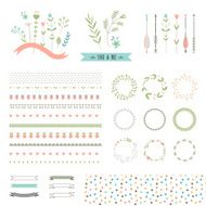 Floral decor set Different vector brushes and elements Isolated N4