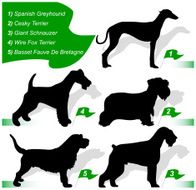 Dog show (vector)