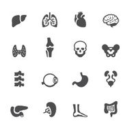 Soulico icons - Human Internal Organ