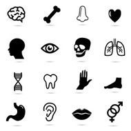 Human Body Parts N14