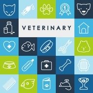 Veterinary icons set