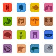 Human Organs Icon Set