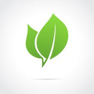 Eco icon green leaf