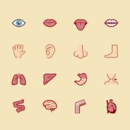 body element vecter color icon set1