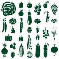 fruit and vegetables icons on white