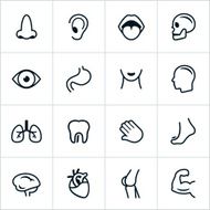 Black Human Anatomy Icons - Line Style