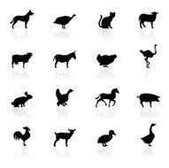 Black Symbols - Farm Animals