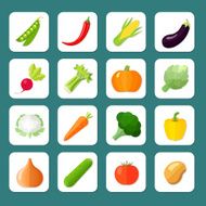 Vegetables Icon Flat