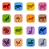 Colorful Farm Animals Icon Set