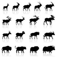 Set of Horned Animal Silhouettes