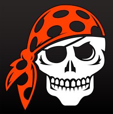 Pirate Skull Wearing Bandana