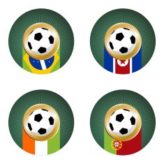 2010 World Cup South Africa Group G
